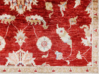 Zigler Royal, 188x122 cm, Wolle, Afghanistan - Orientteppiche Zarif