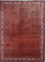 Bidjar Fine, 345x250 cm, Wolle, Iran